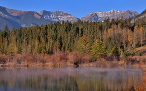 Preview wallpaper mountains, forest, trees, water, reflection