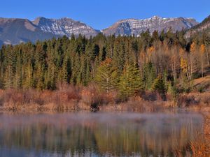 Preview wallpaper mountains, forest, trees, water, reflection