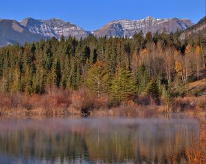 Preview wallpaper mountains, forest, trees, water, reflection