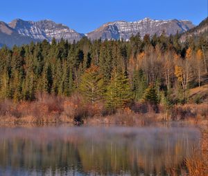 Preview wallpaper mountains, forest, trees, water, reflection