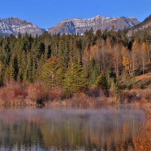 Preview wallpaper mountains, forest, trees, water, reflection