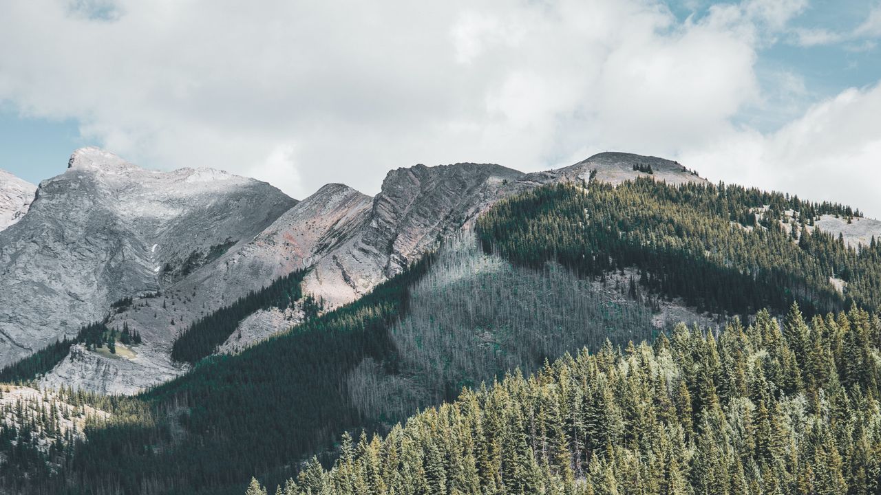 Wallpaper mountains, forest, trees, lake, water