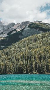 Preview wallpaper mountains, forest, trees, lake, water