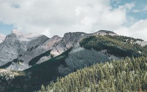 Preview wallpaper mountains, forest, trees, lake, water