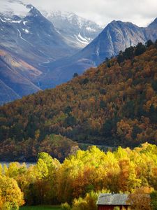 Preview wallpaper mountains, forest, trees, hut