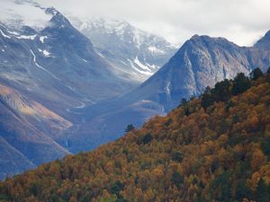 Preview wallpaper mountains, forest, trees, hut