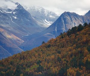 Preview wallpaper mountains, forest, trees, hut