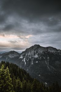 Preview wallpaper mountains, forest, trees, sky