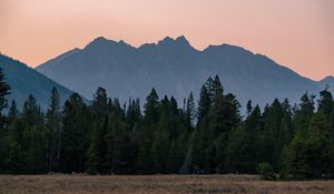 Preview wallpaper mountains, forest, trees, spruce, sky