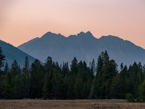 Preview wallpaper mountains, forest, trees, spruce, sky