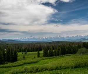 Preview wallpaper mountains, forest, trees, bushes, grass, landscape