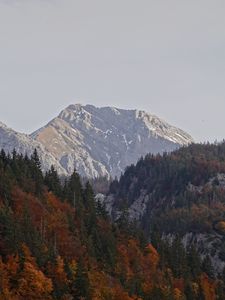 Preview wallpaper mountains, forest, trees, nature, landscape, autumn