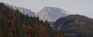 Preview wallpaper mountains, forest, trees, nature, landscape, autumn