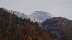 Preview wallpaper mountains, forest, trees, nature, landscape, autumn