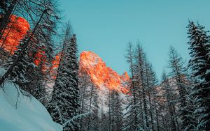 Preview wallpaper mountains, forest, trees, snow, winter, nature