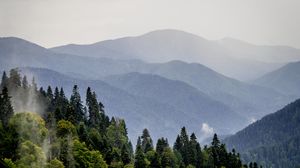 Preview wallpaper mountains, forest, trees, fog, nature, landscape