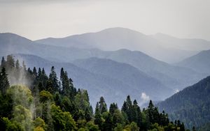 Preview wallpaper mountains, forest, trees, fog, nature, landscape