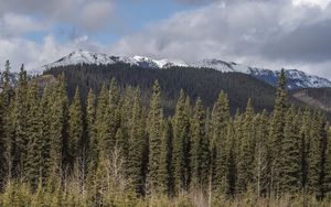 Preview wallpaper mountains, forest, trees, nature
