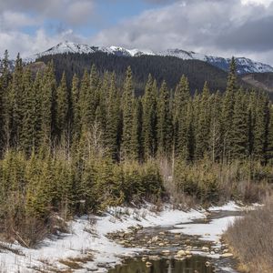 Preview wallpaper mountains, forest, trees, nature