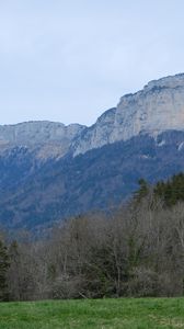 Preview wallpaper mountains, forest, trees, field, nature, landscape