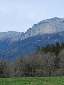 Preview wallpaper mountains, forest, trees, field, nature, landscape