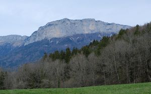 Preview wallpaper mountains, forest, trees, field, nature, landscape