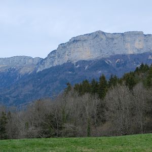 Preview wallpaper mountains, forest, trees, field, nature, landscape