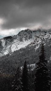 Preview wallpaper mountains, forest, trees, clouds, landscape, nature