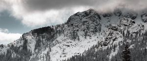 Preview wallpaper mountains, forest, trees, clouds, landscape, nature