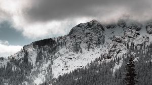 Preview wallpaper mountains, forest, trees, clouds, landscape, nature
