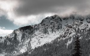 Preview wallpaper mountains, forest, trees, clouds, landscape, nature