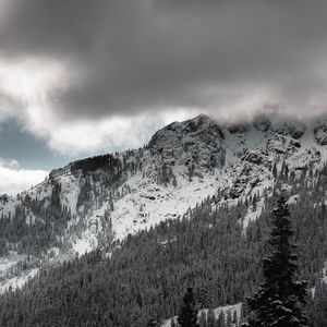 Preview wallpaper mountains, forest, trees, clouds, landscape, nature