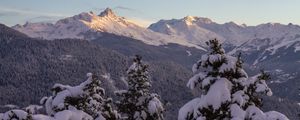 Preview wallpaper mountains, forest, trees, snow, winter, landscape