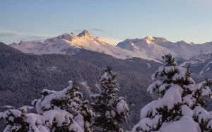 Preview wallpaper mountains, forest, trees, snow, winter, landscape