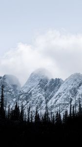 Preview wallpaper mountains, forest, trees, snow, winter
