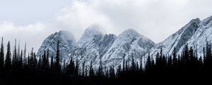 Preview wallpaper mountains, forest, trees, snow, winter