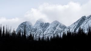 Preview wallpaper mountains, forest, trees, snow, winter