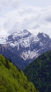 Preview wallpaper mountains, forest, trees, landscape