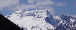 Preview wallpaper mountains, forest, trees, snow, landscape