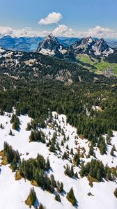 Preview wallpaper mountains, forest, trees, snow, landscape, aerial view