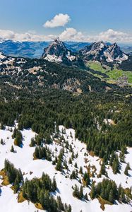 Preview wallpaper mountains, forest, trees, snow, landscape, aerial view