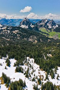 Preview wallpaper mountains, forest, trees, snow, landscape, aerial view