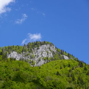 Preview wallpaper mountains, forest, trees, clouds, nature