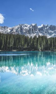 Preview wallpaper mountains, forest, trees, lake, reflection, landscape