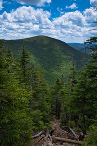 Preview wallpaper mountains, forest, trees, sky, clouds, landscape, nature