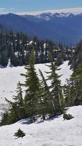 Preview wallpaper mountains, forest, trees, snow, winter, nature, landscape