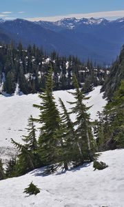 Preview wallpaper mountains, forest, trees, snow, winter, nature, landscape