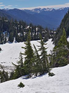 Preview wallpaper mountains, forest, trees, snow, winter, nature, landscape