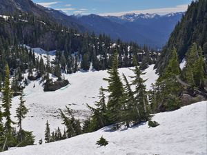 Preview wallpaper mountains, forest, trees, snow, winter, nature, landscape