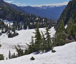 Preview wallpaper mountains, forest, trees, snow, winter, nature, landscape